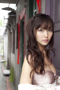 2023龙马精神免费完整版